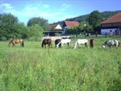 Bild_Unterkunft_Schmitt