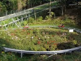 Sommerrodelbahn2